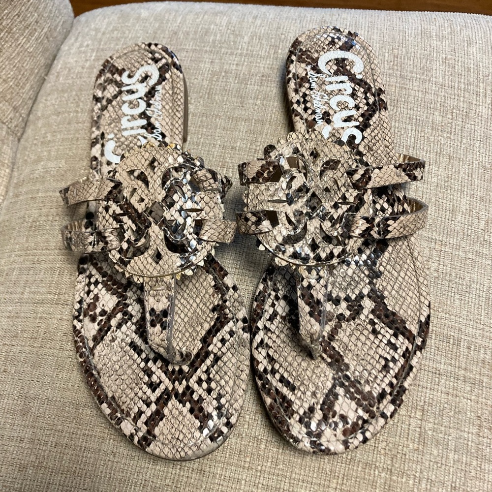 Sam Edelman snake skin sandals.